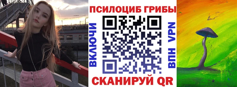 продажа наркотиков  OMG   Псилоцибиновые грибы мухоморы  Курганинск 